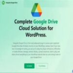 Integrate Google Drive PRO